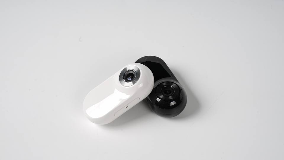 PawPath Camera Collar™